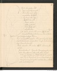 Seite 11, Tagebuch "Palästina" (NHMW-PRAE-BBB-81)